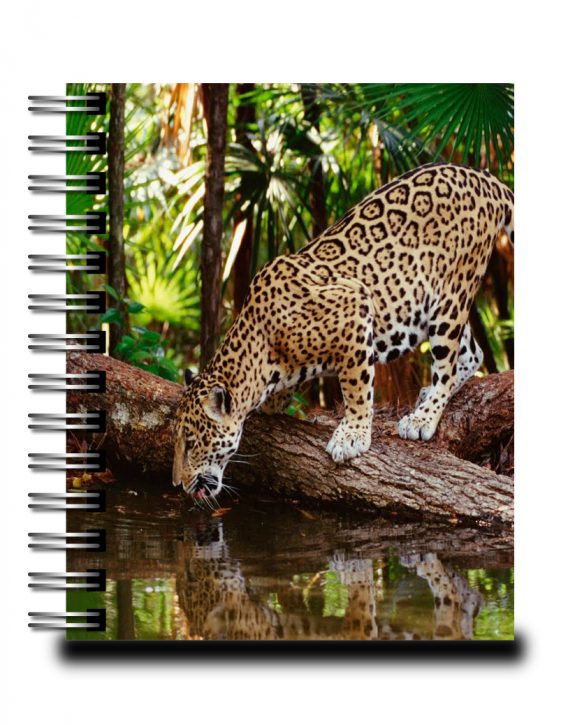 cuaderno-personalizado-12