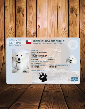 carnet