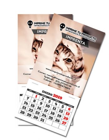 calendario-2019-mg-01